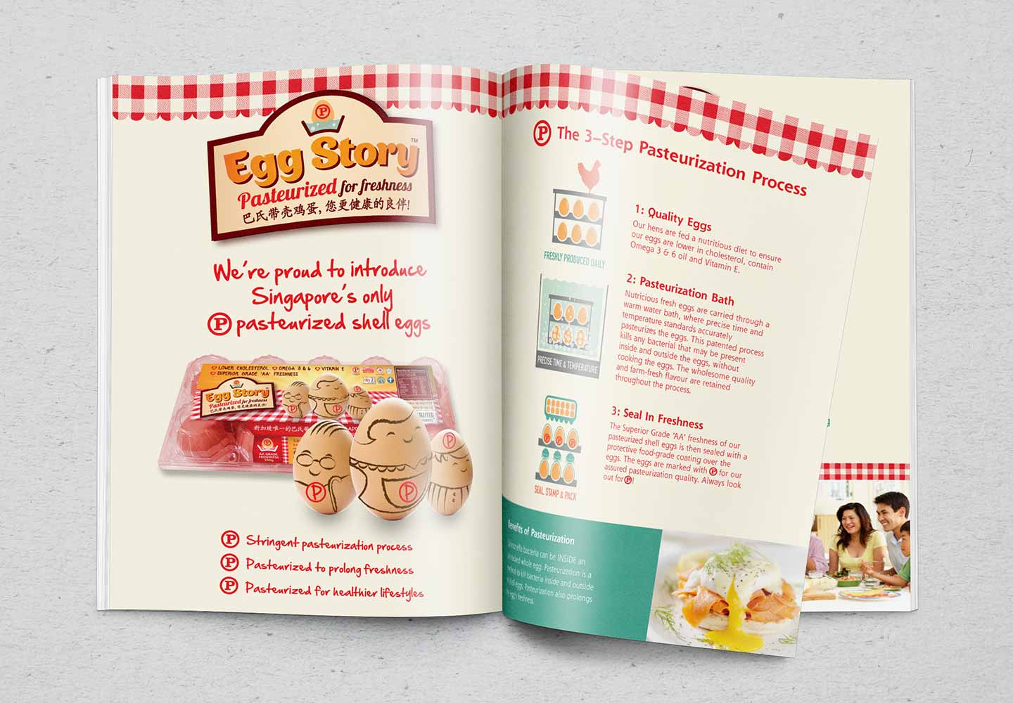 Brand Consultancy in FMCG Industry. Brochure for Egg Story.