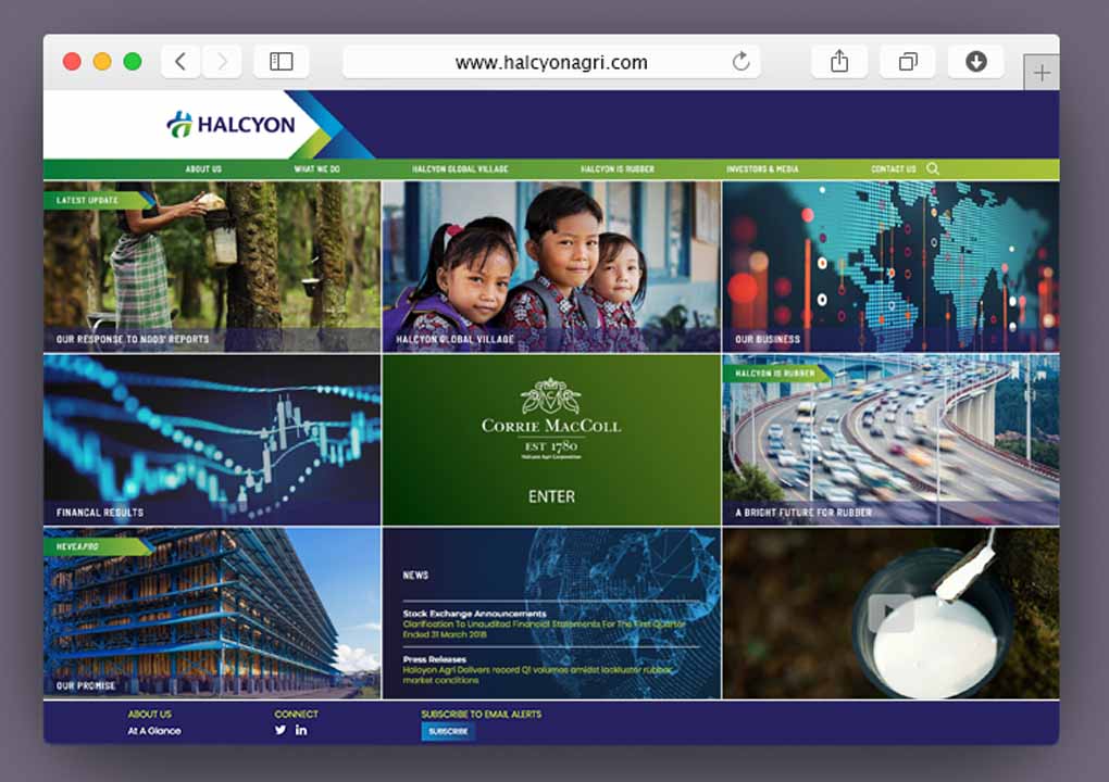 Brand Consultancy in Agriculture Industry. Featured Image for Halcyon Agri