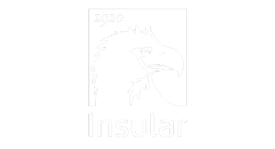 Brand Consultancy in Financial Services Industry. Logo design for Insular.