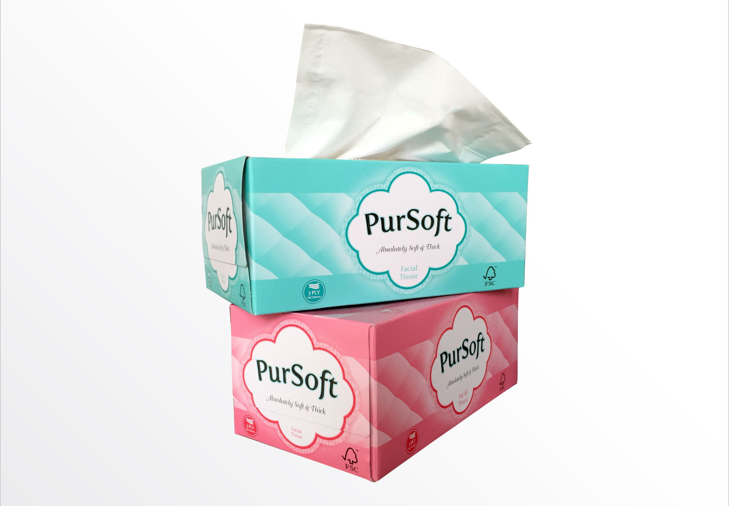 Brand Consultancy in FMCG Industry. Packaging design for Pursoft.